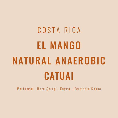 Costa Rica – El Mango Natural Anaerobic