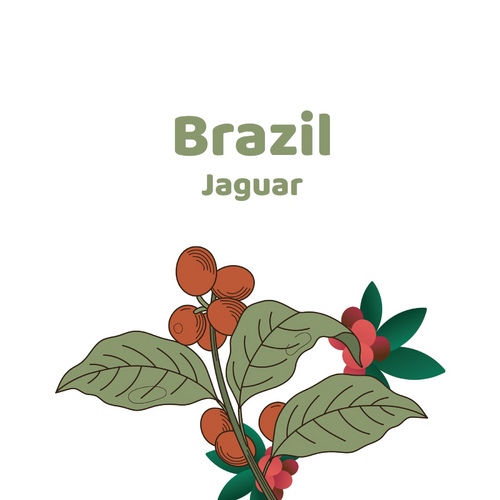 Brazil Jaguar