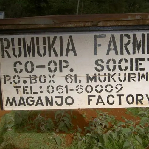 Omni̇/espresso Kenya Maganjo Aa/yikanmiş
