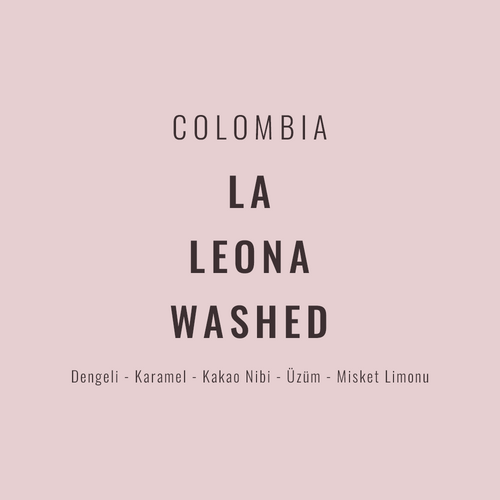 Colombia – La Leona Washed