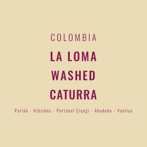 Colombia – La Loma Washed Caturra