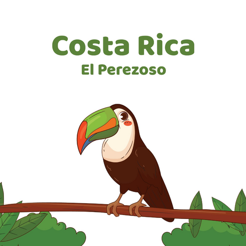 Costa Rica El Perezoso